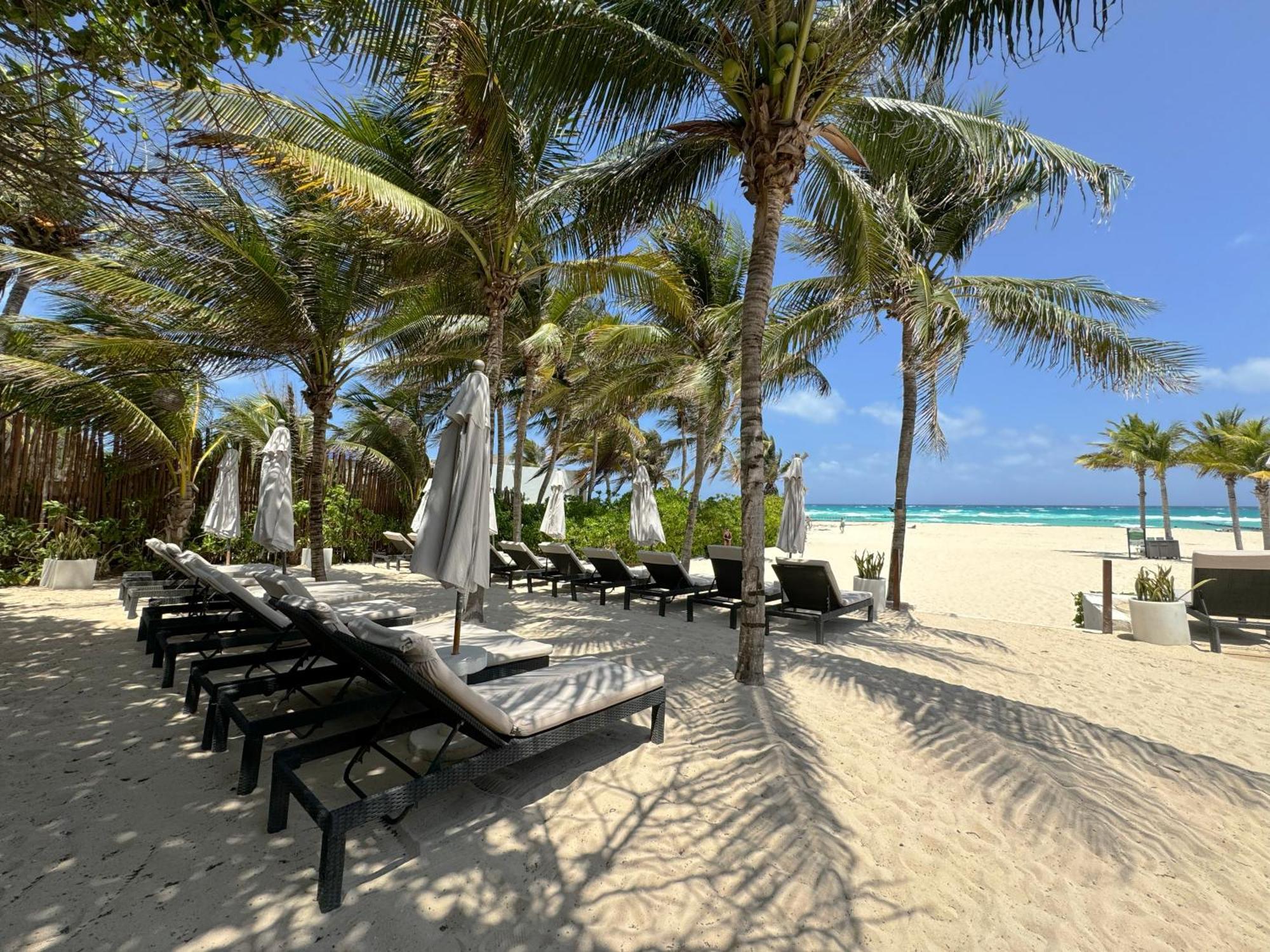 The Reef Playacar Beach Resort & Spa Playa del Carmen Extérieur photo